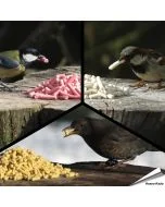 Probierpaket - Leckerbissen (3 x 550g)