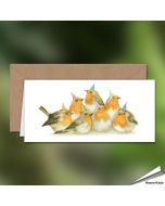 Geburtstagskarte - Mit Rotkehlchen-Motiv - Von Hand gezeichnet - www.hoezo-kado.de