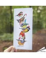 Witzige Weihnachtskarte mit Gartenvögeln ✔️ Handgezeichnet ✔️ Doppelkarte blanko ✔️ FSC-Papier ➤ Jetzt bei hoezo-kado.de bestellen