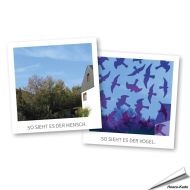 Birdsticker - Set mit 5 Aufklebern und Kunststoffschaber