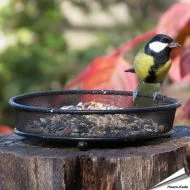 Langlebiger Grundfuttertisch aus Metall ✔️ Hochwertige Verarbeitung ✔️ Leicht zu reinigen ✔️ Optimal für die Fütterung von Wildvögeln im Garten & auf dem Balkon