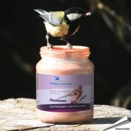 Vogel-Erdnussbutter Waldbeeren für Wildvögel ➤ Jetzt bestellen auf www.hoezo-kado.de