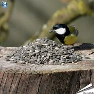 Premium voedersilo mix