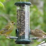 Ring-Pull™ Futtersäule für Samen - grün (200mm)