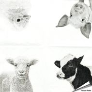 Hochwertige 3-lagige Servietten mit Bauernhoftieren-Motiv ✔️ Bringe das Landleben auf den Tisch ✔️ FSC-zertifiziert, biologisch abbaubar ➤ Bestelle bei Hoezo-Kado