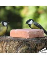 Kohlmeisen beim Energieblock - Beeren (320g)