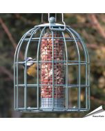 Compact voedersilo voor pinda's met beschermkooi | groen | Hoezo-Kado