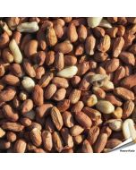 Premium Erdnüsse (1 kg)