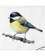 Kohlmeise-Servietten - Vogel-Motiv | 20 Stück | Hoezo-Kado