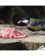 Leckerbissen mit Beeren für Vögel