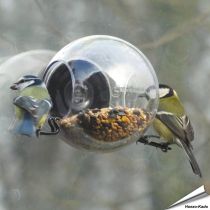 Birdfeeder - Fenster-Vogelfutterstelle - Born in Sweden