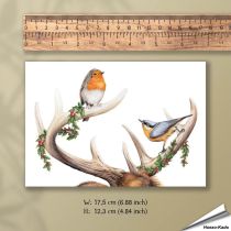 Weihnachtskarte - Mit Wildvogel-Motiven - Von Hand gezeichnet - www.hoezo-kado.de