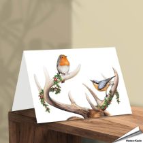 Weihnachtskarte - Mit Wildvogel-Motiven - Von Hand gezeichnet - www.hoezo-kado.de