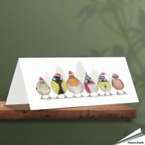 Weihnachtskarte mit verschiedenen Singvögel - Von Hand gezeichnet - www.hoezo-kado.de