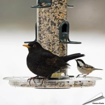 BigEasy™ Auffangschale (278mm)