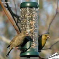 Bird Lovers™ voedersilo zaden - groen