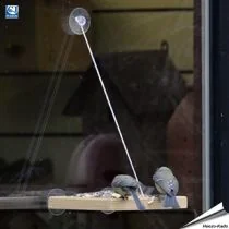 BirdSwing Vide® - Raamvoedertafel