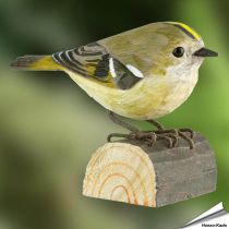 DecoBird - Wintergoldhähnchen