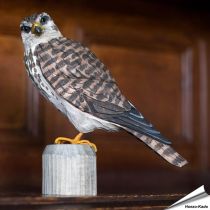 Realistischer, handgeschnitzter Merlin (Raubvogel) ✔️ Mit ungiftigen Farben naturgetreu bemalt ✔️ Originelles Geschenk für Vogel- und Naturliebhaber ✔️ Kaufe online bei Hoezo-Kado