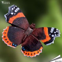 DecoButterfly - Admiral