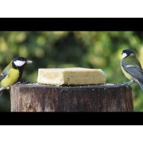Energieblok / Vetblok met  Insecten voor vogels (320g)