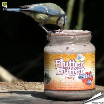 Flutter Butter™ - Erdnussbutter für Vögel - Früchte (330g)