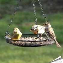 Hangender Metall-Futtertisch für Wildvögel - Online kaufen bei Hoezo-Kado