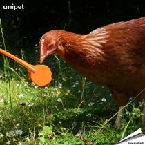 Hentastic® - Fun feeder für Hühner