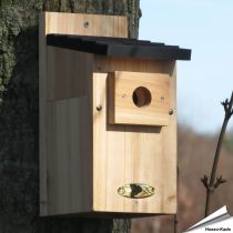 Holz-Nistkasten für grosse Meisen (32mm)