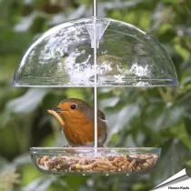 I love Robins - Futterhaus Pearl feeder