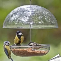 I love Robins - Hängendes Futterhaus