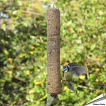 Energiereiche Futterrolle für Wildvögel ✔️ Mit proteinreichen Garnelen ✔️ Direkt verfüttern mit integriertem Tau ✔️ Ganzjährig Vögel füttern ➤ Bestelle Vogelfutter bequem online bei Hoezo-Kado
