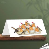 Weihnachtskarte - Mit Rotkehlchen-Motiven - Von Hand gezeichnet - www.hoezo-kado.de