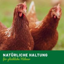 Hühner Vitamine - Flüssigformel für Geflügel (250ml)