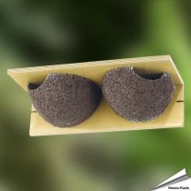 Kunstnistkasten Mehlschwalbe (doppelt)