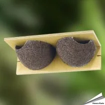 Kunstnistkasten Mehlschwalbe (doppelt)