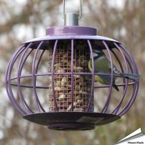 Pindasilolantaarn met beschermkooi | aubergine | Hoezo-Kado