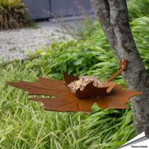 Elegante Wand-Futterschale in Blattform ✔️ Wetterfestes Metall mit Pulverbeschichtung ✔️ Ideal für Meisen, Spatzen & Rotkehlchen ➤ Hoezo-Kado.de