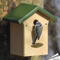 Nistkasten für die Blaumeise (28mm)