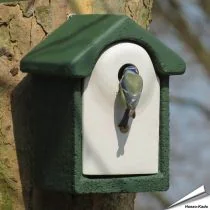 Holzbeton Nistkasten Flush - 28mm (grün)