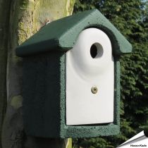 Holzbeton Nistkasten Flush - 32mm (grün)