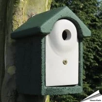 Holzbeton Nistkasten Flush - 32mm (grün)