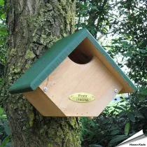 Nistkasten Rotkehlchen / Zaunkönig (Halbhöhle)