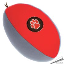 Outdoor Paws - Aqua Rugby ball