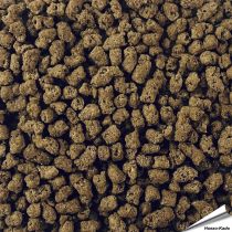 Spezialfutter für Igel - Getreidefrei (500g) | Hoezo-Kado