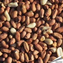 Premium Erdnüsse (12.75 kg)