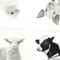 Hochwertige 3-lagige Servietten mit Bauernhoftieren-Motiv ✔️ Bringe das Landleben auf den Tisch ✔️ FSC-zertifiziert, biologisch abbaubar ➤ Bestelle bei Hoezo-Kado