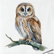 Servietten - Eulenart - Motiv | 20 Stück | Hoezo-Kado