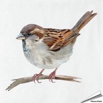 Servietten - Hausspatz - Motiv | 20 Stück | Hoezo-Kado