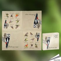 Servietten - Gartenvögel (20 Stück)